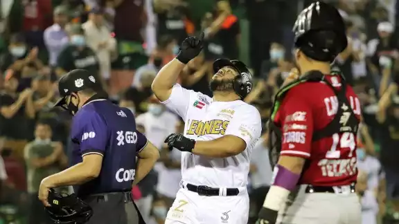 Los Leones de Yucatán deberán enfrentar a los Toros de Tijuana en la Serie del Rey para definir quien es la mejor novena en México. Twitter @MauVila