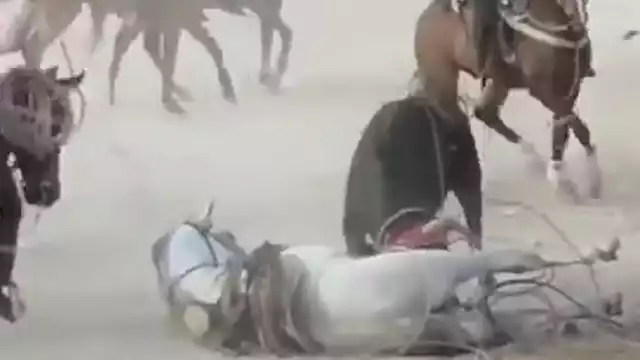 Los torneos de lazo continúan realizándose en Yucatán pese a estar prohibidos