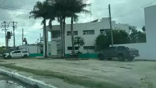 Ganadero pierde la vida tras ataque de abejas en su rancho en la localidad del Valle de Yohaltún en Champotón