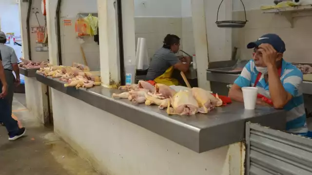 FOTOS: Fernando Kantún