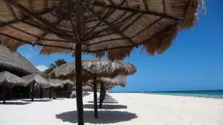 Playa de Puerto Morelos recibe el distintivo "Blue Flag"