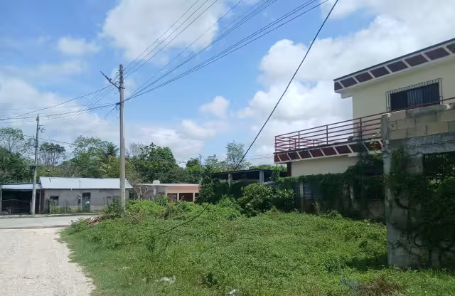 CFE recibe llamado urgente tras caída de líneas eléctricas