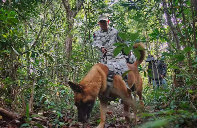 Operativo de búsqueda de personas desaparecidas en Cancún