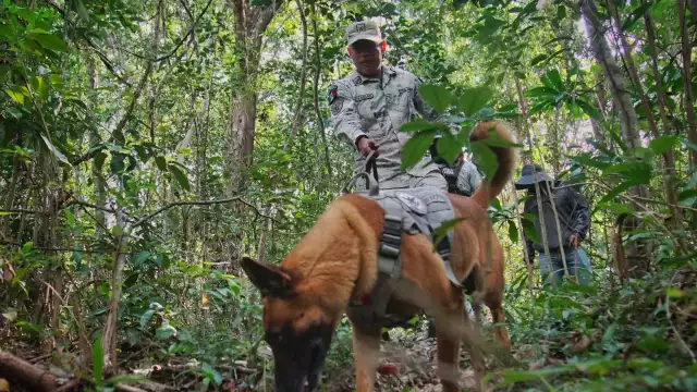 Operativo de búsqueda de personas desaparecidas en Cancún