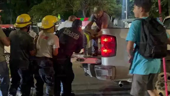 Fue llevado al zoológico Payo Obispo con la finalidad de que se le realicen los estudios pertinentes y las curaciones necesarias Fue llevado al zoológico Payo Obispo con la finalidad de que se le realicen los estudios pertinentes y las curaciones necesarias