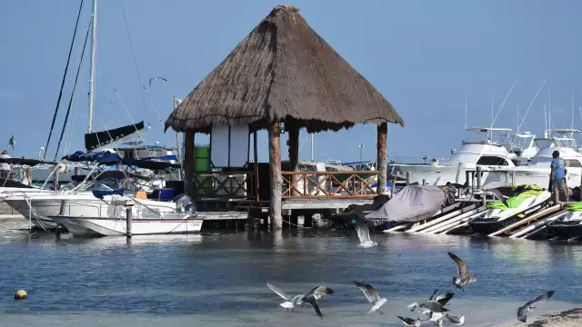 La temporada de pulpo comenzará a partir del 1 de agosto (Cuartoscuro)