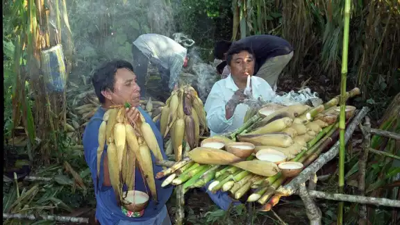 La Milpa Maya Peninsular es un sistema productivo desarrollado en Yucatán, Campeche y Quintana Roo La Milpa Maya Peninsular es un sistema productivo desarrollado en Yucatán, Campeche y Quintana Roo