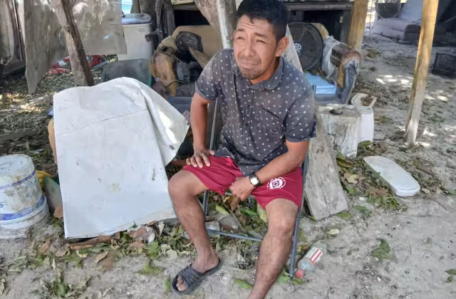 Vecino de Concordia pide responsabilidad tras ataque de perros