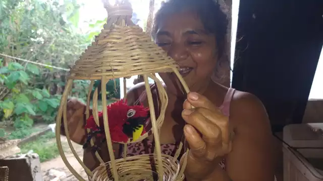 Marbella Tax Ucán, la mujer que convierte la naturaleza en sustento y tradición