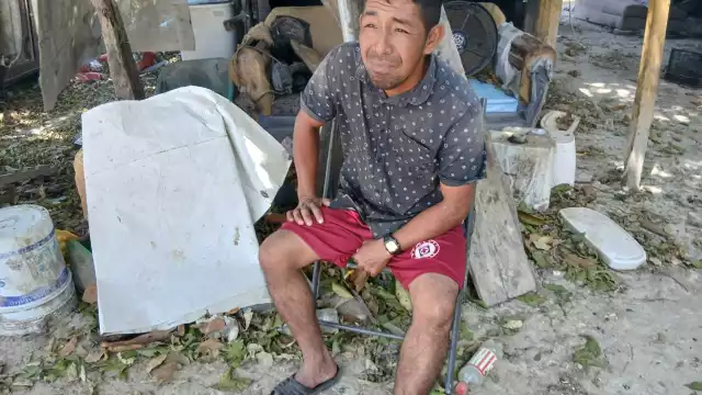 Vecino de Concordia pide responsabilidad tras ataque de perros