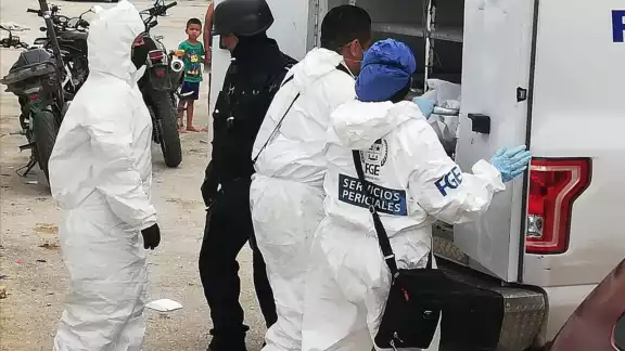 La mujer dio aviso de inmediato a las autoridades tras el hallazgo La mujer dio aviso de inmediato a las autoridades tras el hallazgo