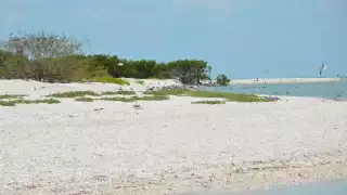 La construcción del desarrollo ecoturístico se encuentra en una zona federal