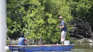 Asentamientos en la Laguna de Términos son los causantes de su destrucción: Ambientalistas