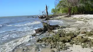 FOTOS: Fernando Kantún