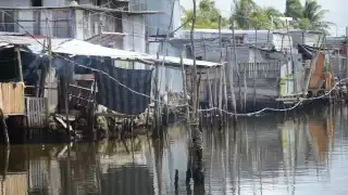 La mayoría de las colonias y los fraccionamientos carecen de una planta tratadora de estos líquidos; además, hay una inadecuada construcción de fosas sépticas de la isla