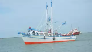 Los barcos pesqueros de camarón tienen baja demanda