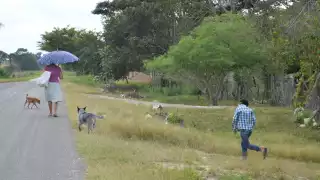 En Ciudad del Carmen son hablados 10 idiomas indígenas, entre estos mixteco y zapoteco.