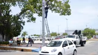 La responsable de Seguridad Pública desmintió que los equipos estén descompuestos; están en mantenimiento, explicó