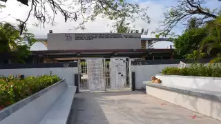 Foto: Fernando Kantún