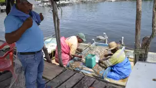 Serán más de 3 mil pescadores los beneficiados del programa Bienpesca