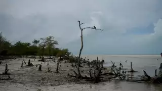 Foto: Víctor Ávalos