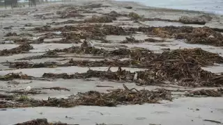 Foto: Fernando Kantún