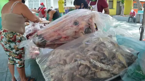 La matanza clandestina de cerdos, así como la introducción de carne de dudosa procedencia es riesgo para la salud La matanza clandestina de cerdos, así como la introducción de carne de dudosa procedencia es riesgo para la salud
