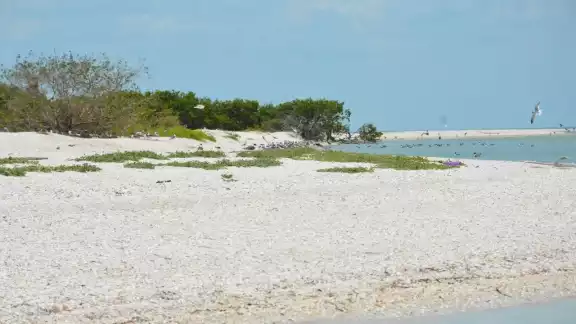 La construcción del desarrollo ecoturístico se encuentra en una zona federal La construcción del desarrollo ecoturístico se encuentra en una zona federal