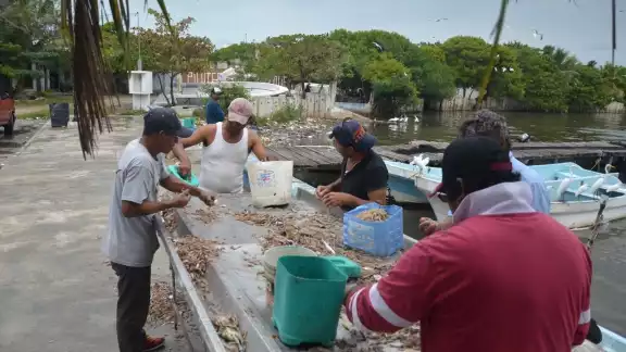 Los organismos oficiales ha errado sus cálculos desde hace décadas