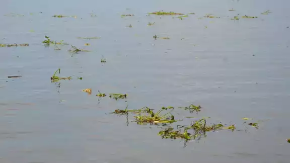 Foto: Fernando Kantún