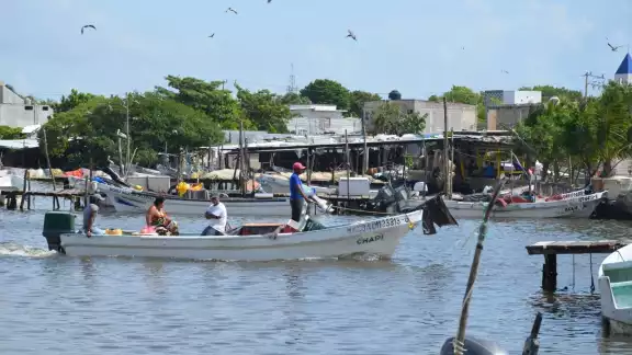 Los permisos de pesca tienen un costo de tres mil pesos por cuatro lanchas. Foto: Fernando Kantún