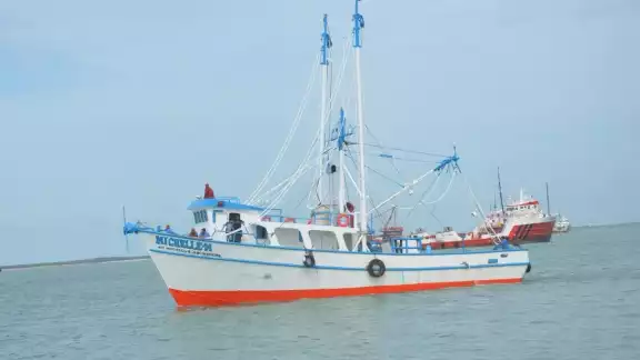 Los barcos pesqueros de camarón tienen baja demanda Los barcos pesqueros de camarón tienen baja demanda