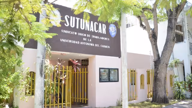 “Ha sido un proceso fuera de lo legal, están actuando de forma antidemocrática", aseguran