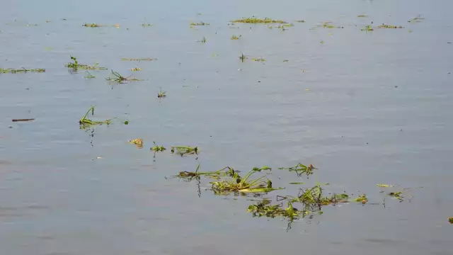 Foto: Fernando Kantún