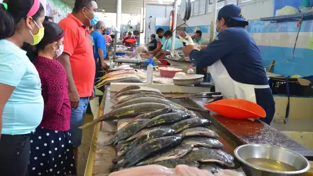 La carencia de apoyos económicos a actividades alternas para generar ingresos tiene en indefensión a los productores, replican los atastecos