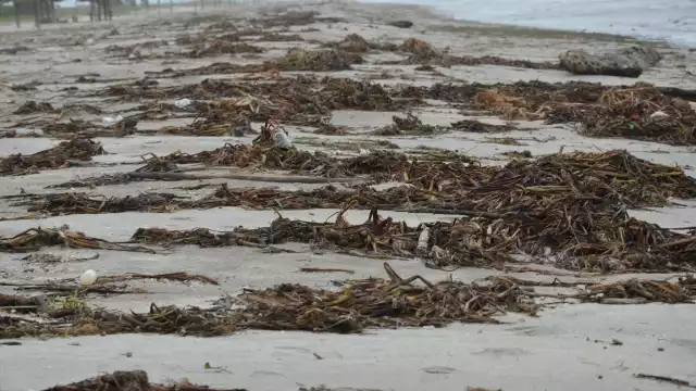 Foto: Fernando Kantún