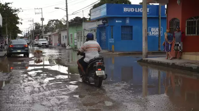 Foto: Fernando Kantún