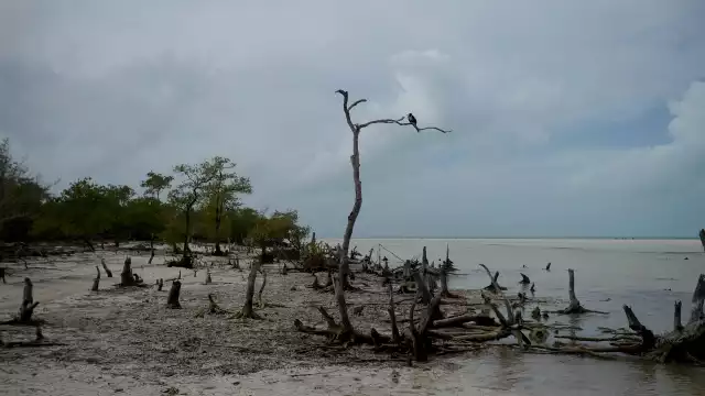 Foto: Víctor Ávalos