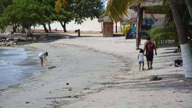 Las playas Manigua, Norte I, Norte II, Bahamita, Puerto Real, Isla Aguada, Viaducto y Zacatal (Playita del Guanal) son aptas para los bañistas