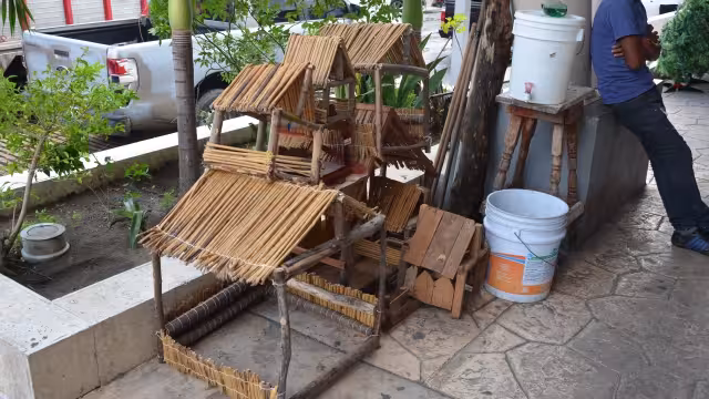 Foto: Irene Barradas