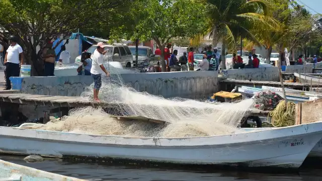 Foto: Fernando Kantún