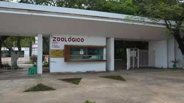 Se pide la implementación de un programa de vigilancia establecido por la Semarnat y Profepa. Foto: Irene Barradas