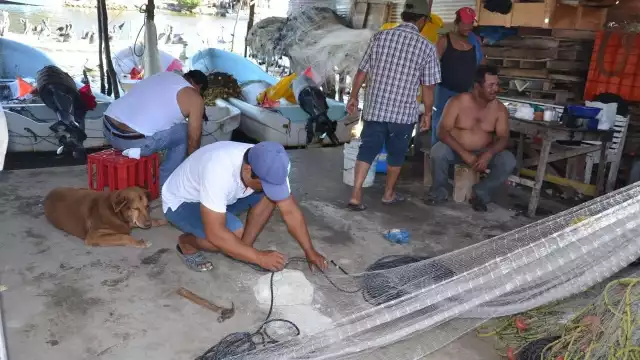 El proceso electoral  afecta a  las cooperativas pesqueras