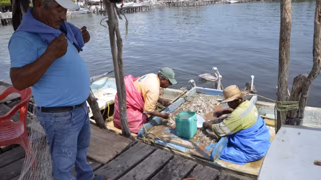 Serán más de 3 mil pescadores los beneficiados del programa Bienpesca