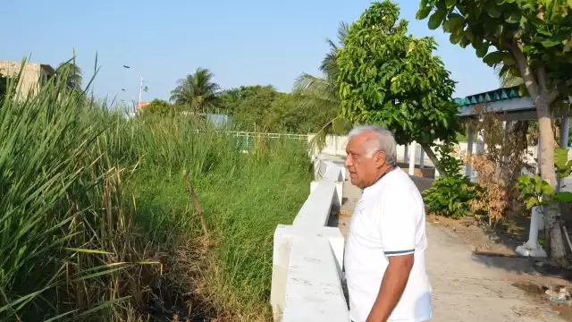 Vecinos piden que se limpie la Caleta de la colonia Tierra y Libertad, ya que representa un peligro