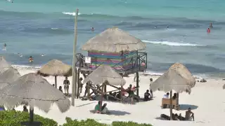 Los arenales verificados deben cumplir con 33 requisitos englobados en cuatro categorías