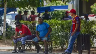 Aunado a largas jornadas exigidas, albañiles carecen de prestaciones de ley y protecciones contra riesgos