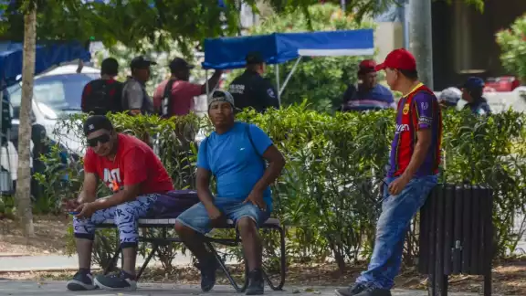 Aunado a largas jornadas exigidas, albañiles carecen de prestaciones de ley y protecciones contra riesgos