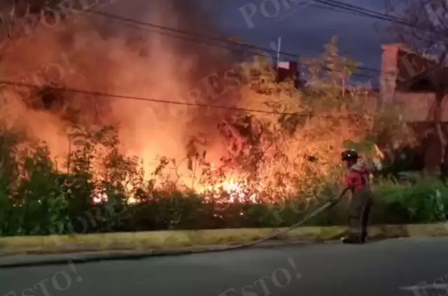 Las llamas se propagaron rápidamente y los bomberos combatieron el fuego.