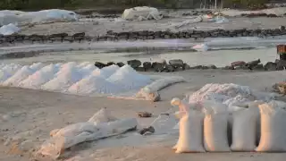 La investigación del Cinvestav Mérida reveló el peligro de consumir plástico